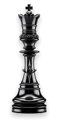 Tournaments & Meetups - 6686